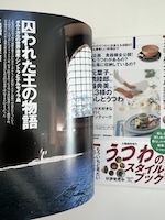 太陽 No.453 特集/白洲次郎 20世紀の快男児 こんなカッコいい男がいた!